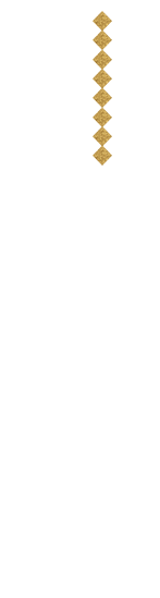 本場の風が