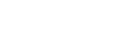 中国文化を肌で感じる